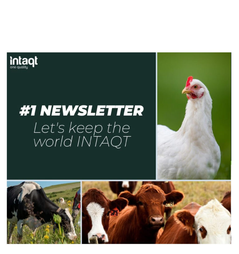 The 1st INTAQT Newsletter!