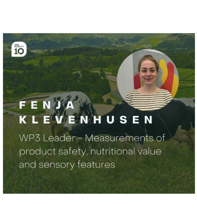 Work Package 3 – Fenja Klevenhusen
